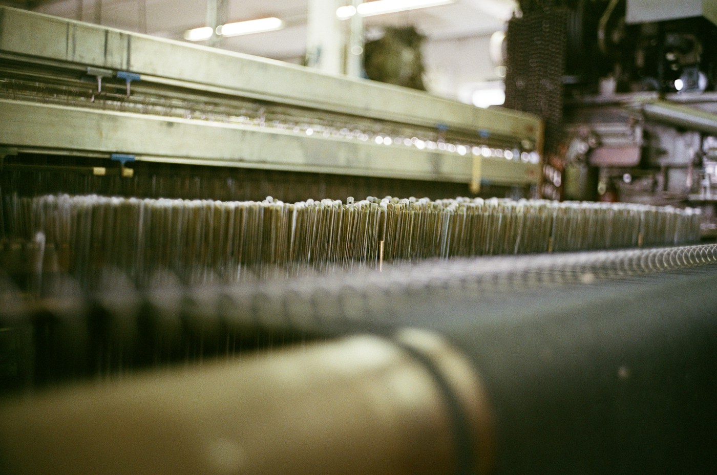 Warp threads running through an industrial loom